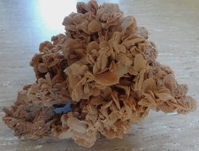 Sandrose Wüstenrose