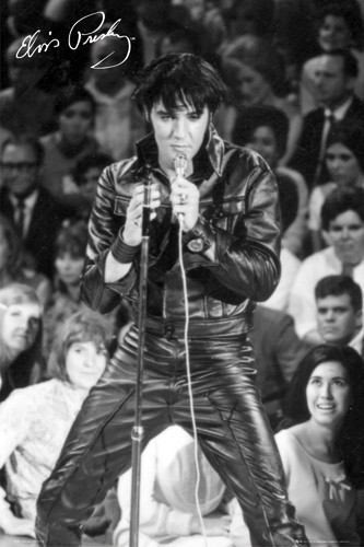 Elvis presley - elvis,