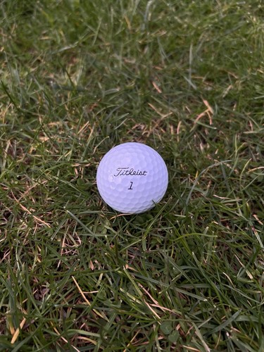 Titleist pro v1x - /, –
