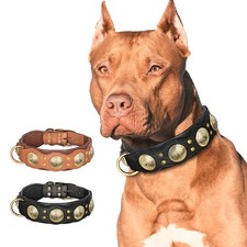 Leder Hundehalsband 5cm Breit