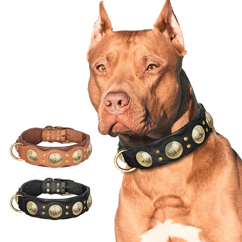 Leder hundehalsband 5cm breit - leder,