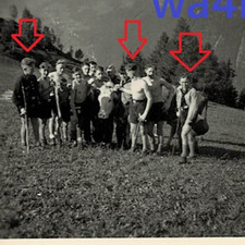 Org.Foto HJ,DJ,Pimpfe,Jungvolk,Youth,Jugend,Boy,Bube,Wiese,Berge,Halbnackt
