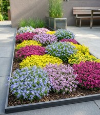 BALDUR Garten Staudenbeet