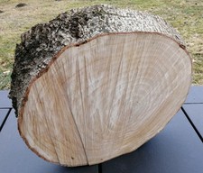 XXL Baumscheibe 50 cm