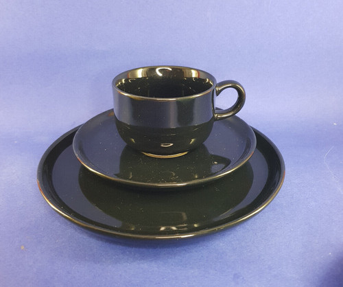 Friesland melitta ceracron - friesland,