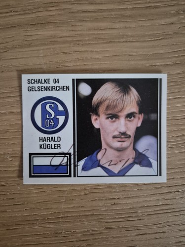 Kügler schalke panini - kügler, fc