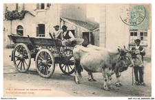 AWF-P13-0991-64 - Zuggeschirr