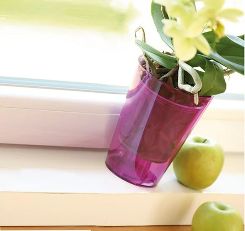Blumentopf coubi orchid - blumentopf,