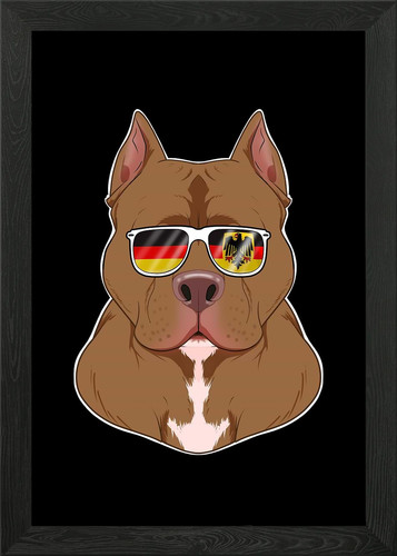 Pitbull germany sonnenbrille - pitbull,