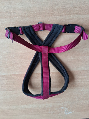 Hundegeschirr anione - hundegeschirr,,