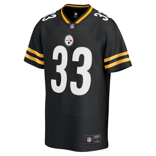 Pittsburgh steelers nfl - pittsburgh,
