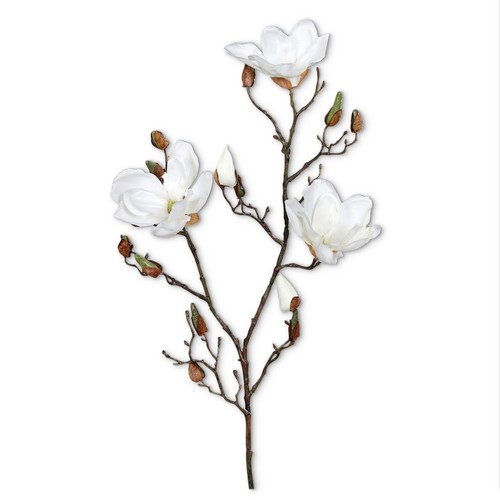 Kunstzweig magnolie - kunstzweig,