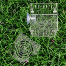  Fish Nursery Aquarium