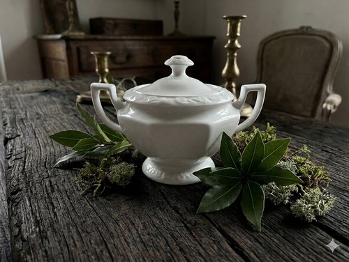 Rosenthal maria weiß - rosenthal,