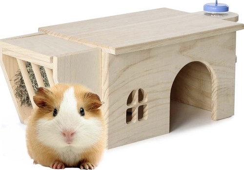 Hamster meerschweinchen haus - /,