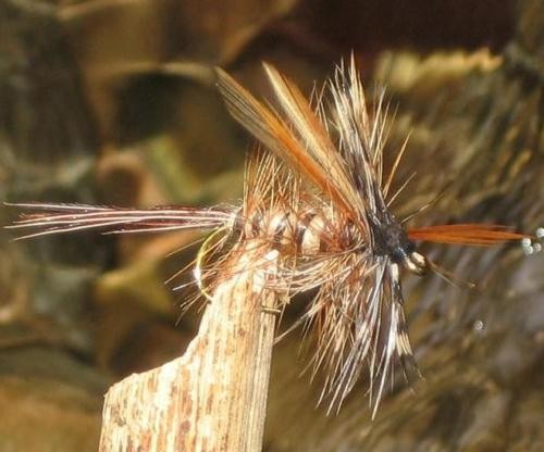 Gilchrist fliegen x - gilchrist,