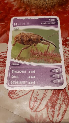 Ozeanien schätze unseres - schätze,