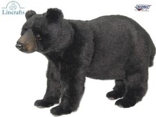 Schwarzbär plüschtier von - schwarzbär,