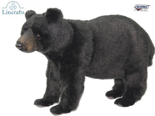 Schwarzbär plüschtier von - schwarzbär,