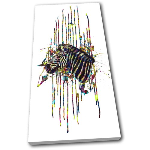 Zebra colourful paint - colourful, abstract