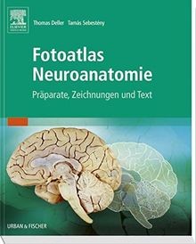Fotoatlas neuroanatomie von - fotoatlas,