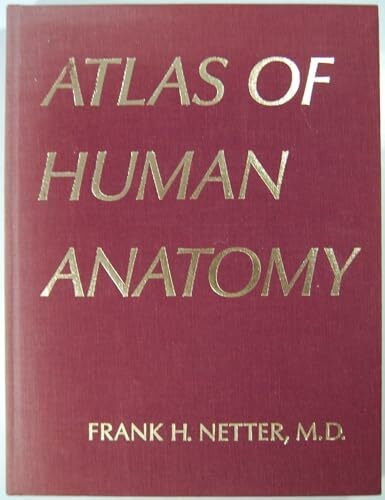 Atlas human anatomy buch - of,