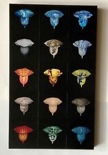 R.Staab„Stilblüten-Schwarz?