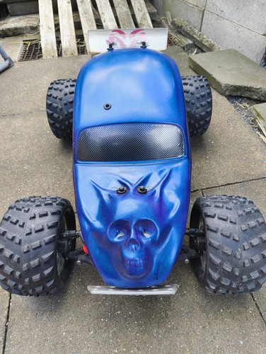Mader beetle - fg,