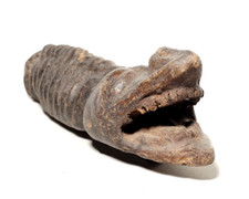 Lobi Krokodil-Tonfigur -