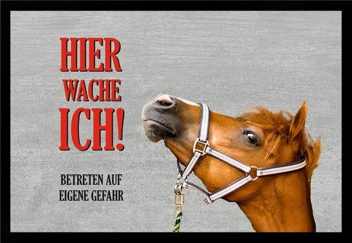 Fußmatte schmutzfangmatte - fußmatte,