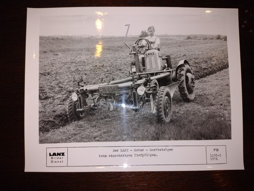 Original lanz foto alldog beim - lanz,