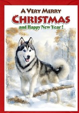 Weihnachtskarte Siberian Husky