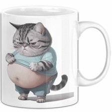 Dicke Fette Katze Kätzchen