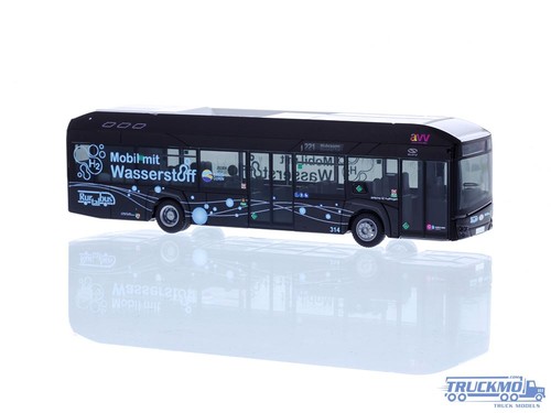 Rietze rurtalbus solaris - rurtalbus,