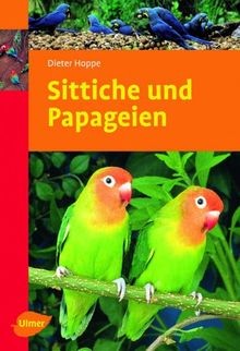 Sittiche und papageien gelb - sittiche, 12