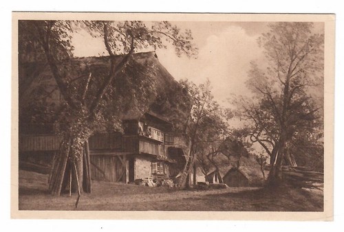 319 das schwarzwaldhaus - 319-,