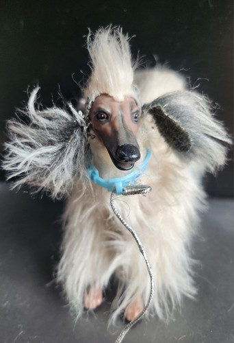 Beauty afghane hund 1018 - beauty,