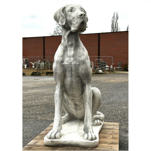 Dogge hund hunde tier - tier, figur