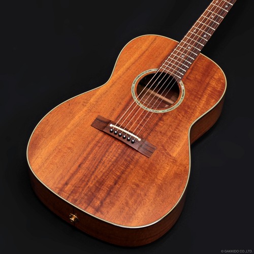 Takamine ptu431k - ptu431k, n