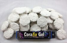 50 Ablegersteine Scheiben Disc