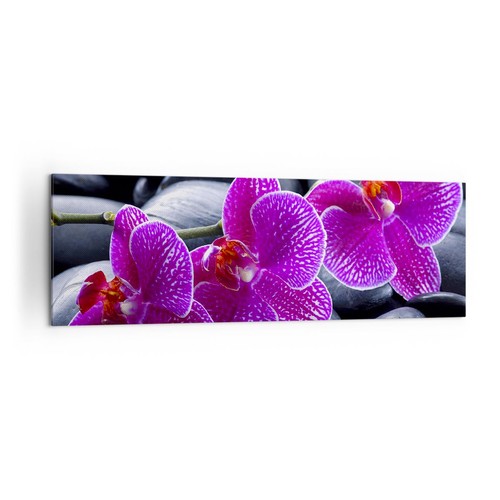 Wandbilder 160x50cm