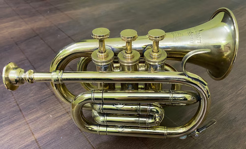 Antikes kompaktes horn strahlt - antikes,