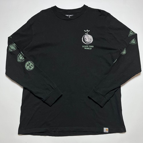 Carhartt landscape t s - carhartt, l/s