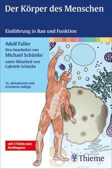 Der körper des - der, menschen