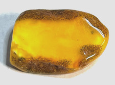 Antik Natur Bernstein Findling als Brosche Butterscotch Unikat Knochenbernstein?