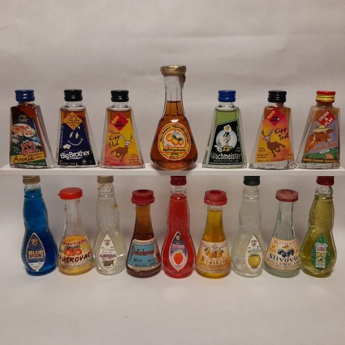 Miniatur schnapsflaschen - miniatur,