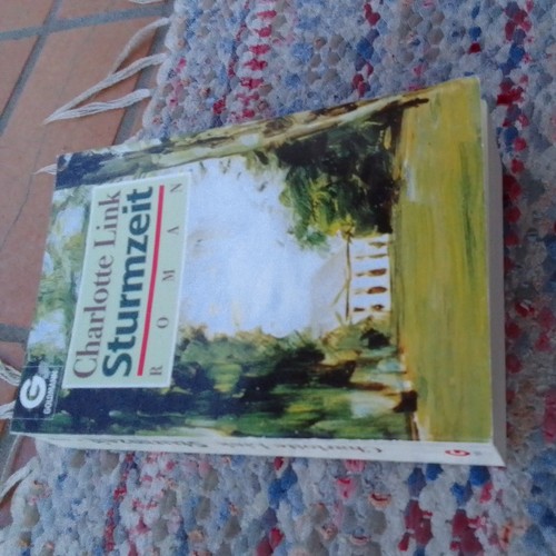 Sturmzeit charlotte link - sturmzeit,