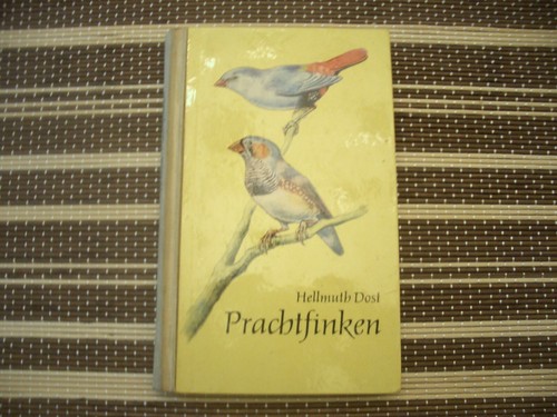 Prachtfinken dost - dost, ----
