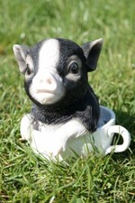Schwein in Tasse dunkel 15 cm