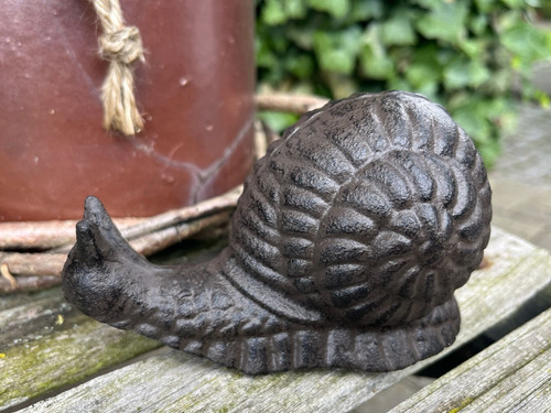 Dekoschnecke schnecke - dekoschnecke,